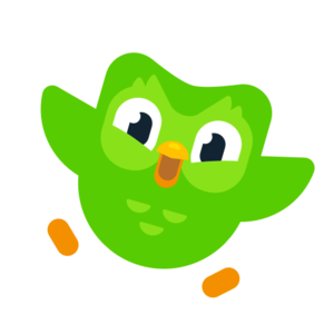 duolingo app